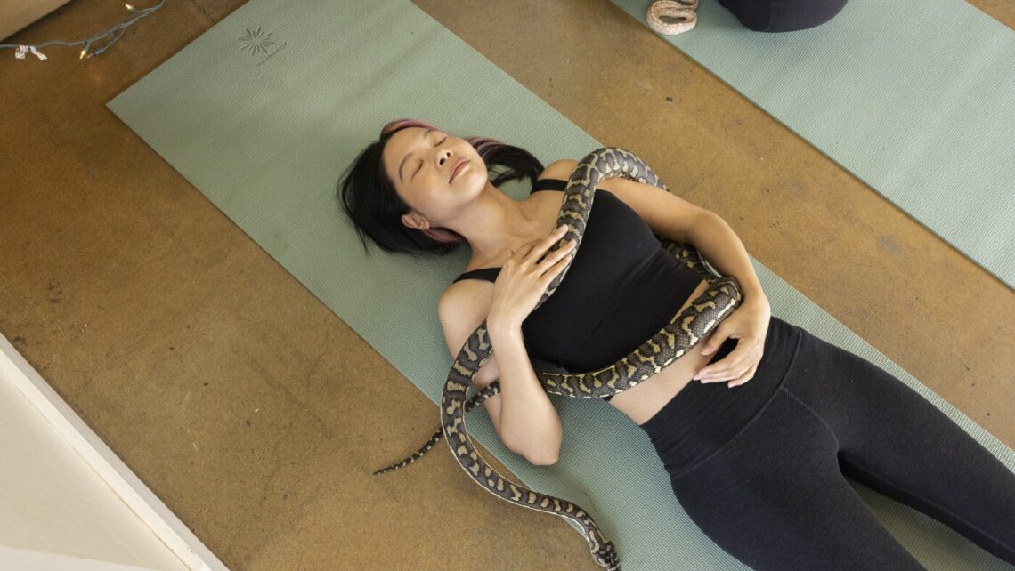 Yoga dengan ular di Portland, pengalaman unik dan menarik