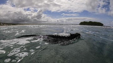 El Nino dan hasil laut melimpah di Indonesia